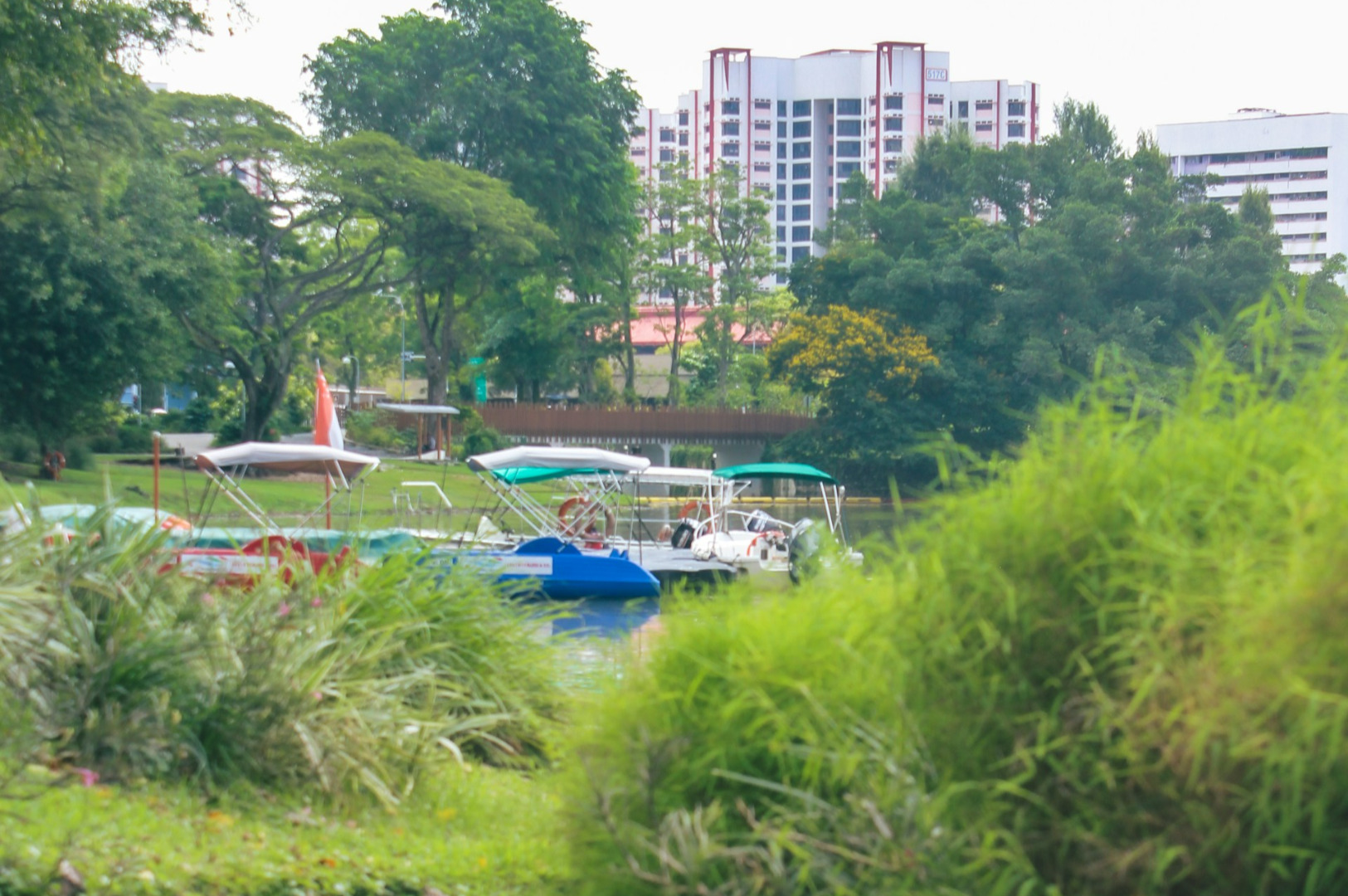 A serene park scene with lush greenery in the foreground, colorful boats on a pond, and tall, white buildings in the background under a clear sky.