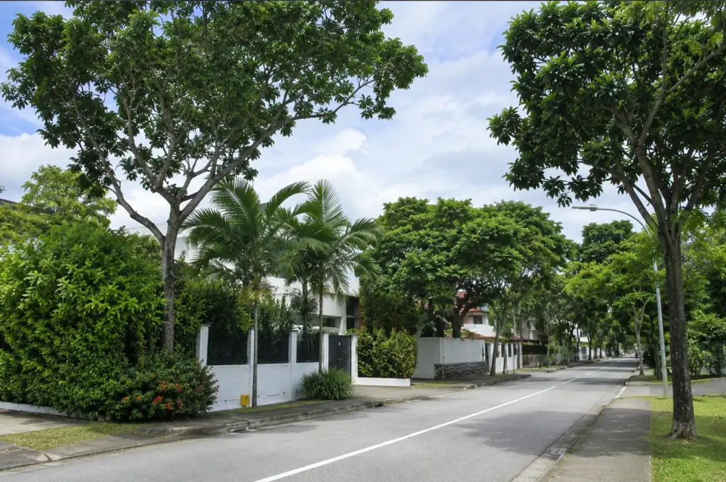 Tree-lined residential street in Serangoon Gardens showing modern landed homes with white boundary walls, lush tropical landscaping, and mature shade trees