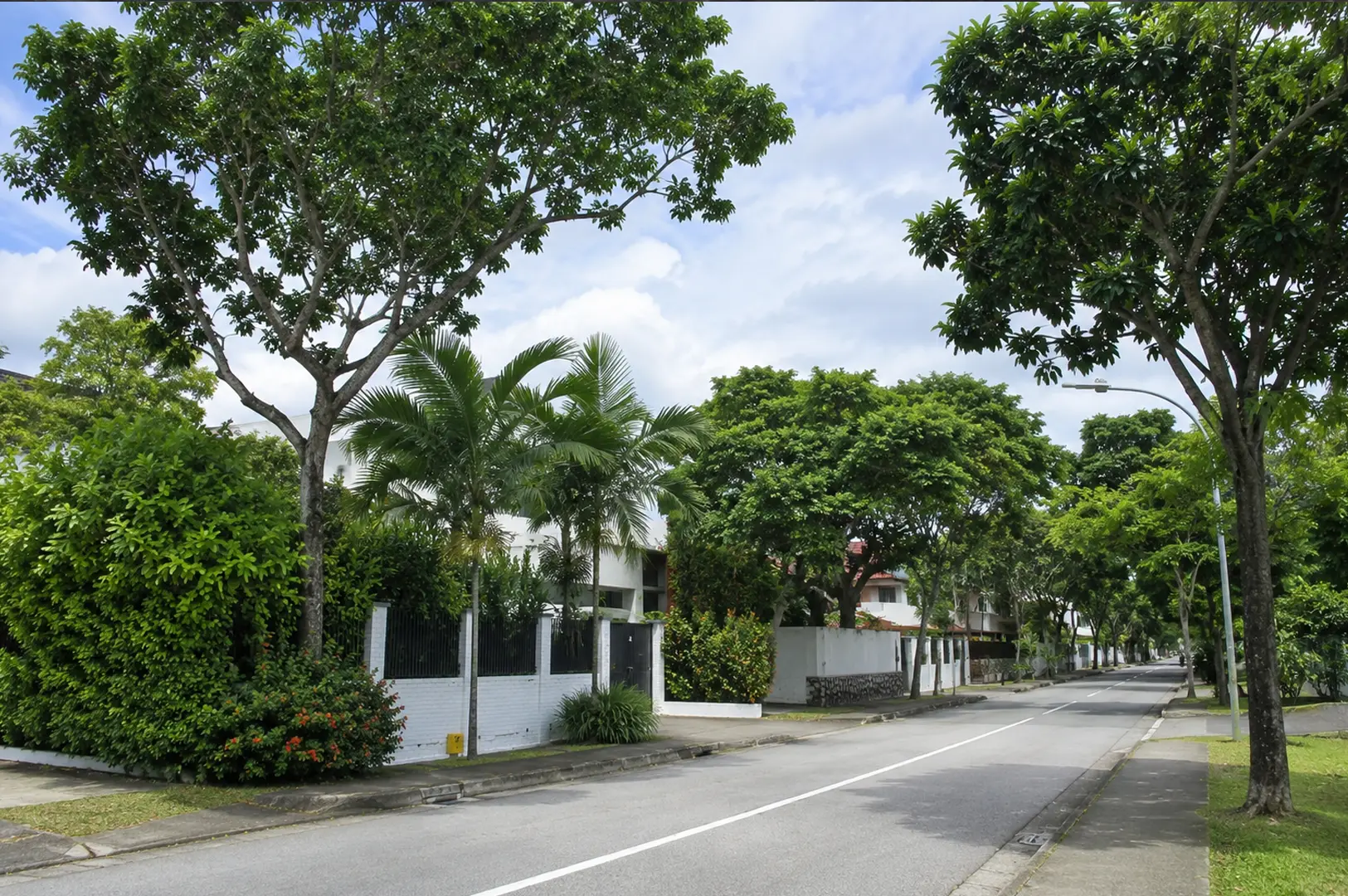 Tree-lined residential street in Serangoon Gardens showing modern landed homes with white boundary walls, lush tropical landscaping, and mature shade trees