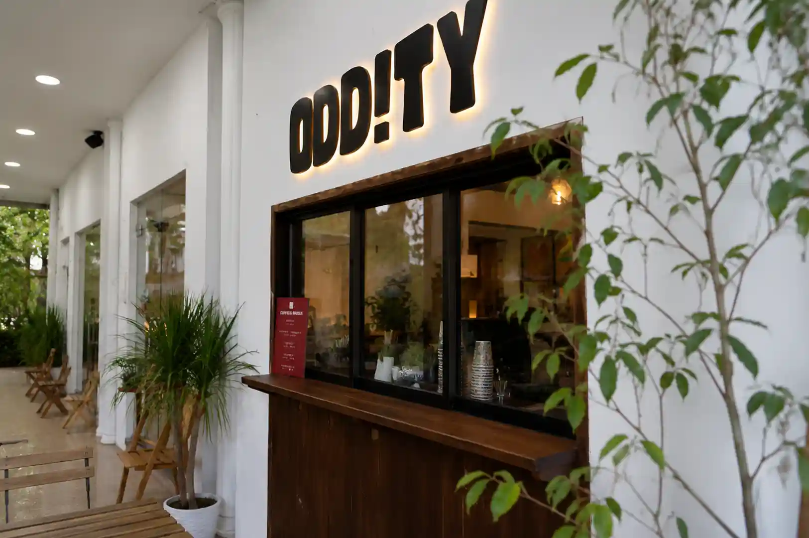 Exterior of Oddity cafe featuring illuminated black signage, a wooden service window, and potted plants along a white facade