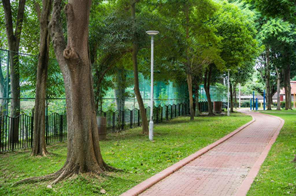 uiet tree-lined walking path in Woodlands